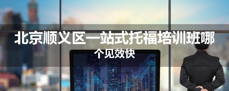 北京顺义区一站式托福培训班哪个见效快