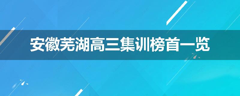 安徽芜湖高三集训榜首一览
