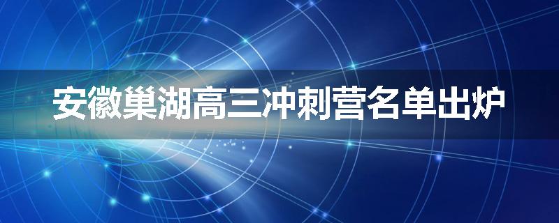 安徽巢湖高三冲刺营名单出炉