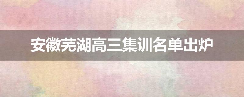 安徽芜湖高三集训名单出炉
