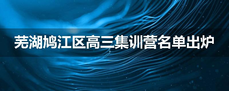 芜湖鸠江区高三集训营名单出炉