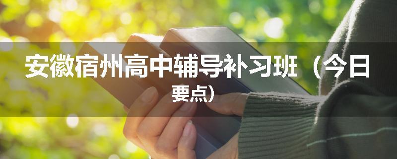 安徽宿州高中辅导补习班（今日要点）