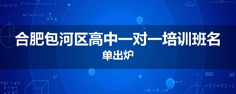 合肥包河区高中一对一培训班名单出炉