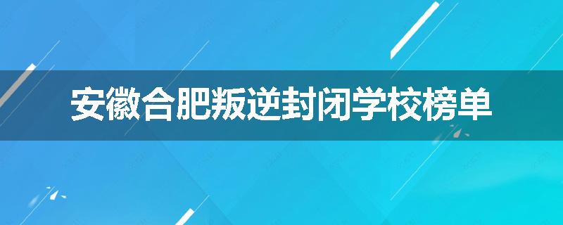 安徽合肥叛逆封闭学校榜单