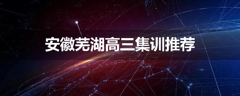 安徽芜湖高三集训推荐