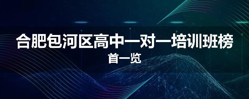 合肥包河区高中一对一培训班榜首一览