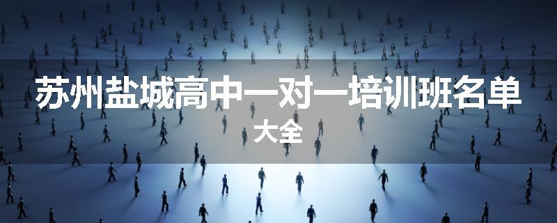 苏州盐城高中一对一培训班名单大全