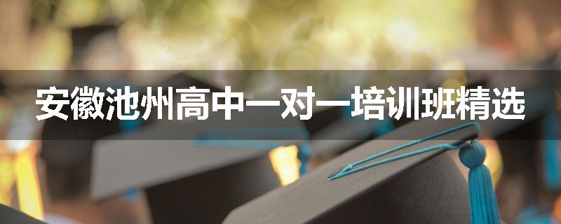 安徽池州高中一对一培训班精选