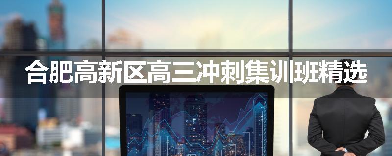 合肥高新区高三冲刺集训班精选