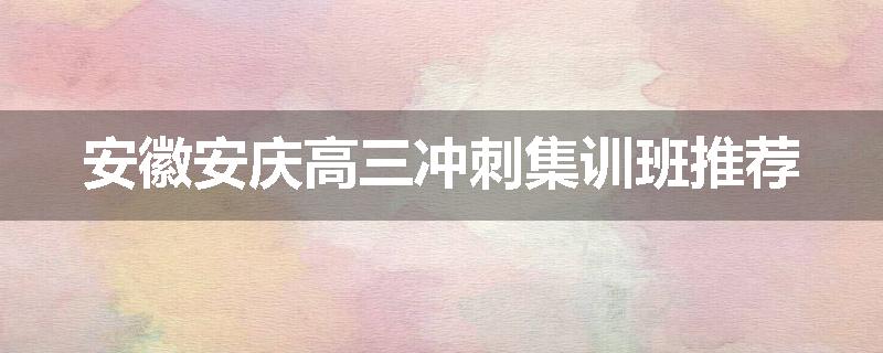 安徽安庆高三冲刺集训班推荐