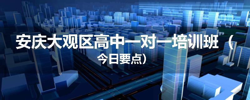 安庆大观区高中一对一培训班（今日要点）