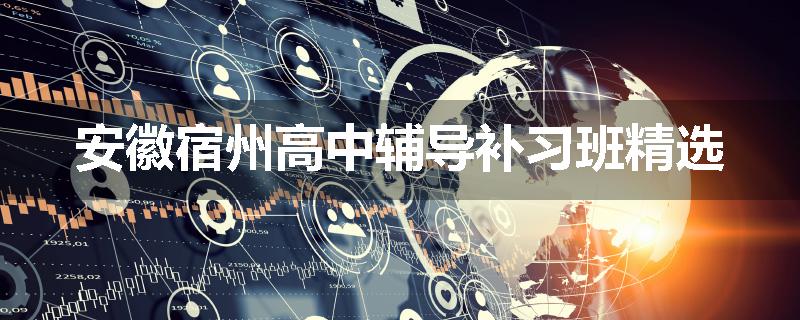 安徽宿州高中辅导补习班精选