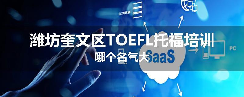 潍坊奎文区TOEFL托福培训哪个名气大
