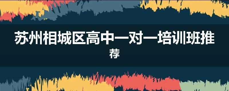 苏州相城区高中一对一培训班推荐