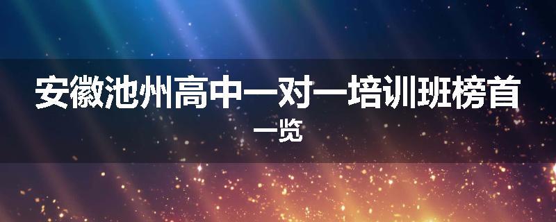 安徽池州高中一对一培训班榜首一览