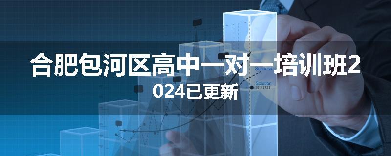 合肥包河区高中一对一培训班2024已更新