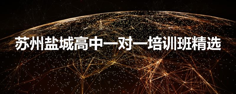 苏州盐城高中一对一培训班精选