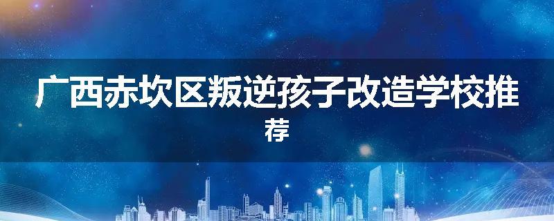 广西赤坎区叛逆孩子改造学校推荐