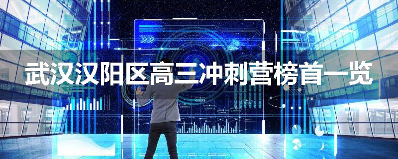 武汉汉阳区高三冲刺营榜首一览