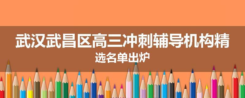武汉武昌区高三冲刺辅导机构精选名单出炉