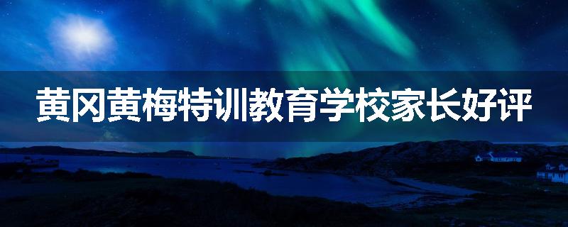 黄冈黄梅特训教育学校家长好评