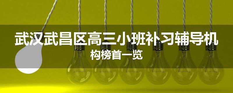 武汉武昌区高三小班补习辅导机构榜首一览