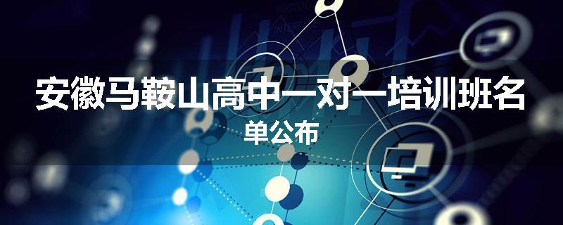 安徽马鞍山高中一对一培训班名单公布