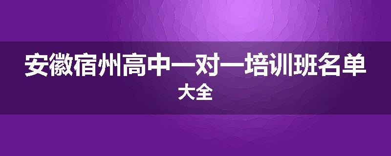 安徽宿州高中一对一培训班名单大全