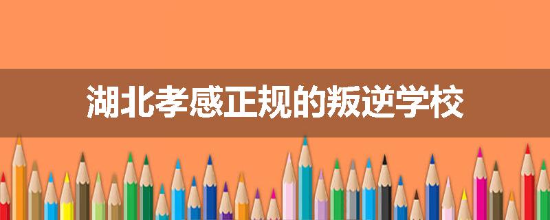 湖北孝感正规的叛逆学校