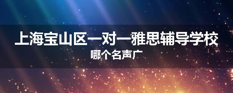 上海宝山区一对一雅思辅导学校哪个名声广