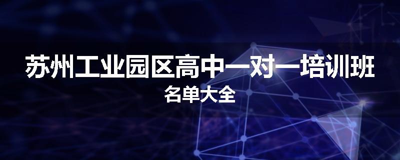 苏州工业园区高中一对一培训班名单大全