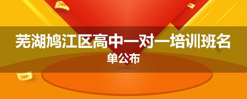 芜湖鸠江区高中一对一培训班名单公布