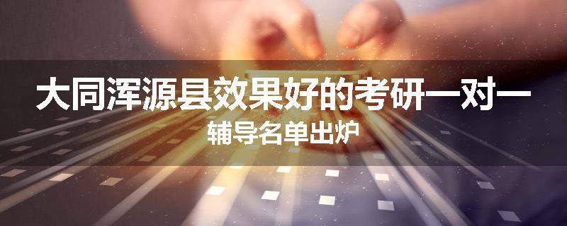 大同浑源县效果好的考研一对一辅导名单出炉