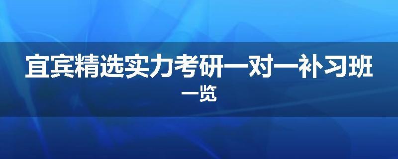 宜宾精选实力考研一对一补习班一览