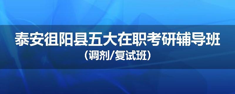 泰安徂阳县五大在职考研辅导班（调剂/复试班）