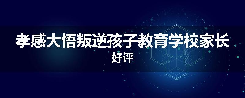 孝感大悟叛逆孩子教育学校家长好评