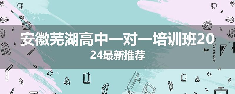 安徽芜湖高中一对一培训班2024最新推荐