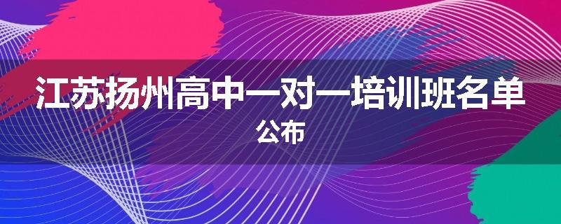 江苏扬州高中一对一培训班名单公布
