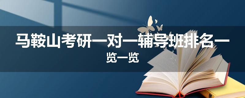 马鞍山考研一对一辅导班排名一览一览