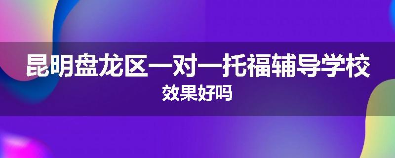 昆明盘龙区一对一托福辅导学校效果好吗