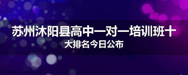苏州沐阳县高中一对一培训班十大排名今日公布