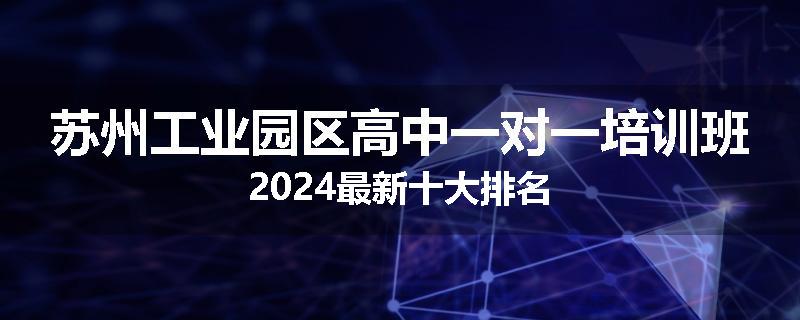 苏州工业园区高中一对一培训班2024最新十大排名