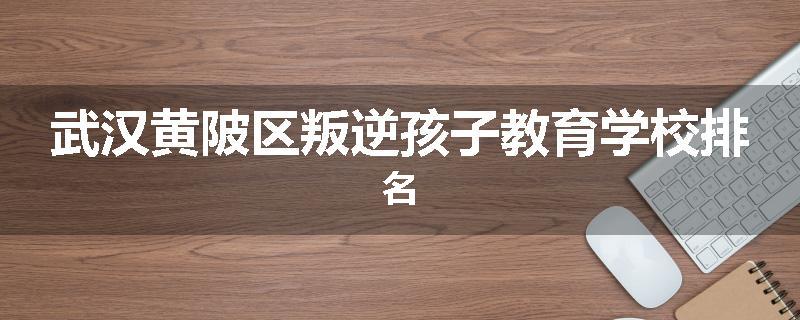 武汉黄陂区叛逆孩子教育学校排名