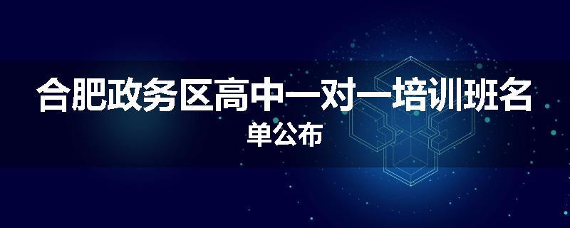 合肥政务区高中一对一培训班名单公布