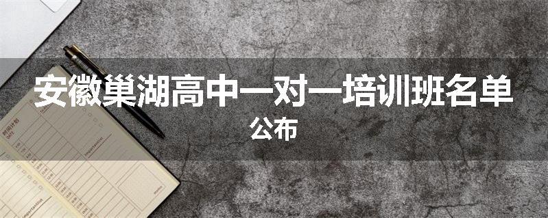 安徽巢湖高中一对一培训班名单公布