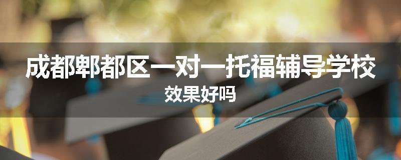 成都郫都区一对一托福辅导学校效果好吗