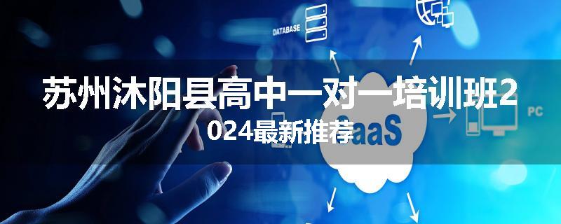 苏州沐阳县高中一对一培训班2024最新推荐