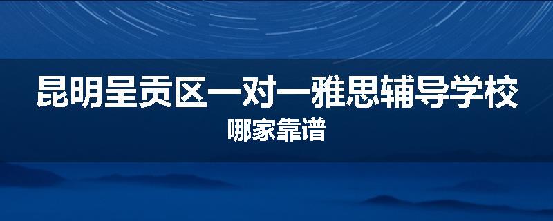 昆明呈贡区一对一雅思辅导学校哪家靠谱