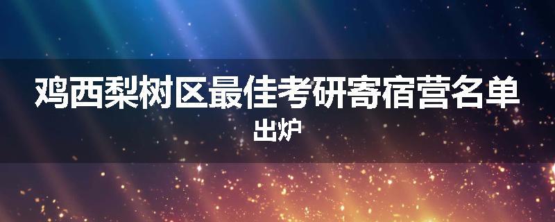 鸡西梨树区最佳考研寄宿营名单出炉