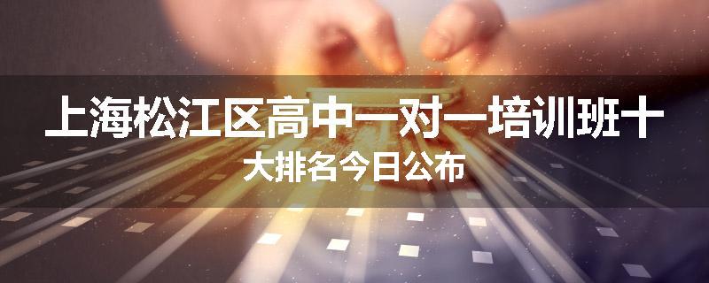 上海松江区高中一对一培训班十大排名今日公布